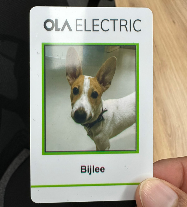 Dog-as-Ola-Employee Dog-as-Ola-Employee