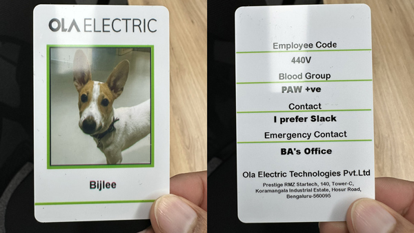 Dog-as-Ola-Employee Dog-as-Ola-Employee