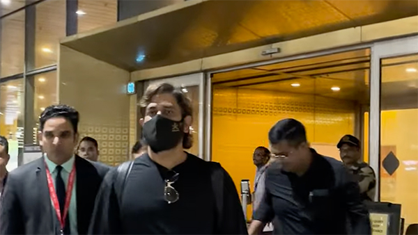 MS-Dhoni-Seatbelt MS-Dhoni-Seatbelt