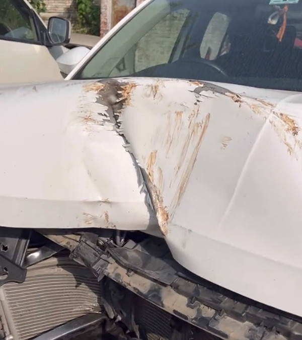 volkswagen taigun car hits tree at 80 kmph spee