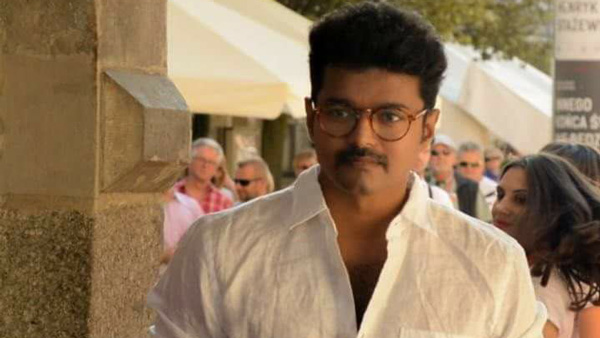 actor vijay