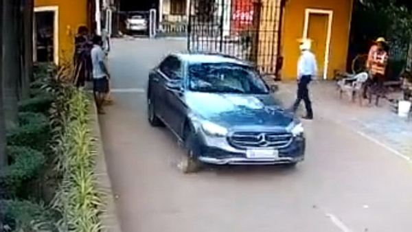 Dog-Killed-By-Mercedes-Benz-Viral-Video Dog-Killed-By-Mercedes-Benz-Viral-Video