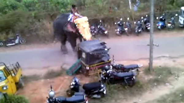 Angry Elephant Throws Two Wheelers and Three Wheelers