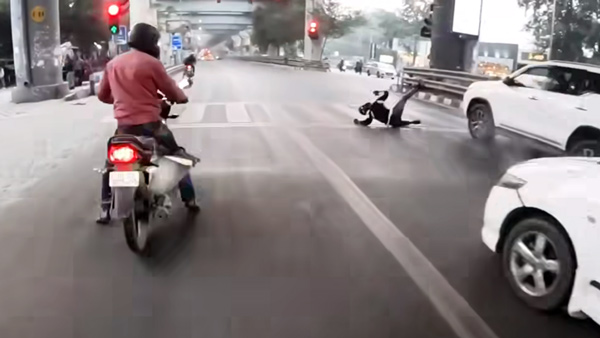 BMW-G310-RR-crashes-into-Toyota-Foruner