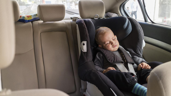 Things-Should-Not-Be-In-Car-In-Summer