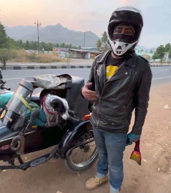 Royal Enfield Classic 500 With Sidecar For Pet Dog