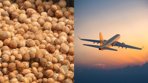 Coconuts are not allowed in aeroplane recently this product block listed in blocklist