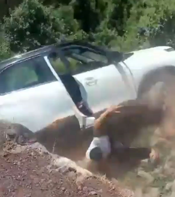 Tata Punch SUV Rolls Back And Falls Off Cliff