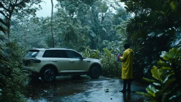 Pest Control Precautions In Cars During Monsoon