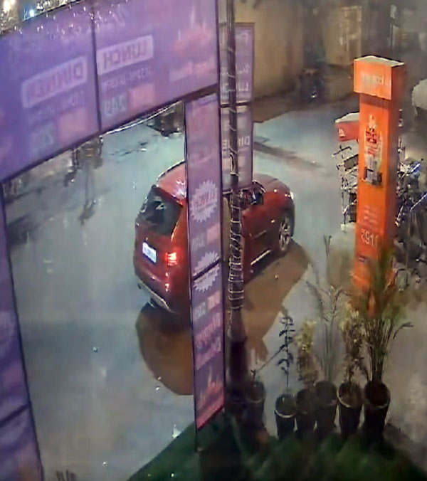 Women Came BMW Steals Flowerpot