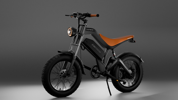 EMotorad Viper Electric Cycle Launched In India At Rs 66 999 With Smart Features