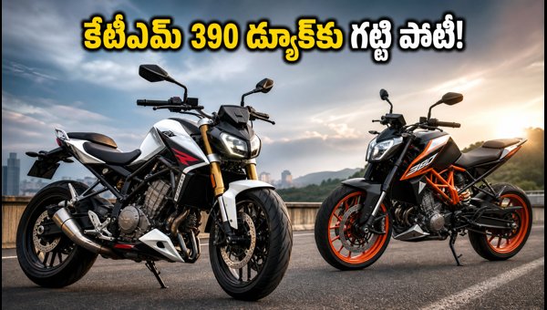 BMW F 450 R India Launch Date, Price, and Specs: Everything You Need to Know About the New Roadster