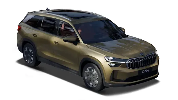??????  ???????? Bronx Gold Metallic Colour