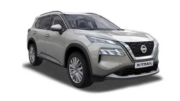 ?????  X ????? Champagne silver Colour