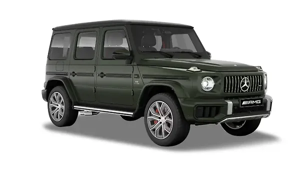 ????????? ?????  AMG ??-???? Olive Magno Colour