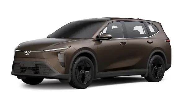 ?????????  ???? ?????? 7 Introspective Brown Colour
