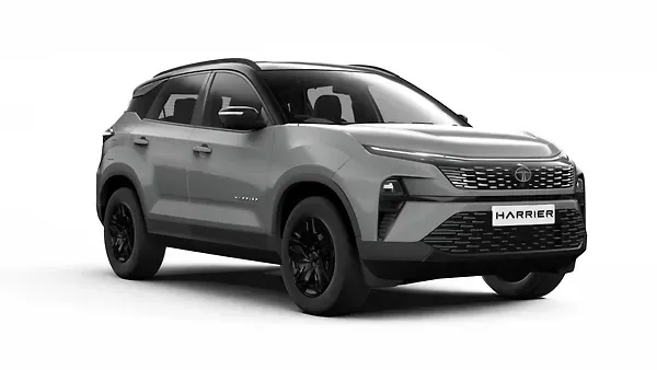 ????  ????????? Pure Grey With Dual Tone Colour