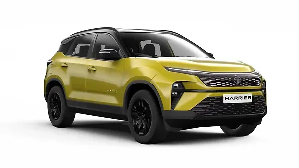 ????  ????????? Sunlit Yellow With Dual Tone Colour