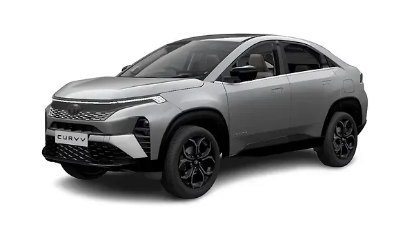 டாடா  வளைவு Pure Grey With Black Roof Colour