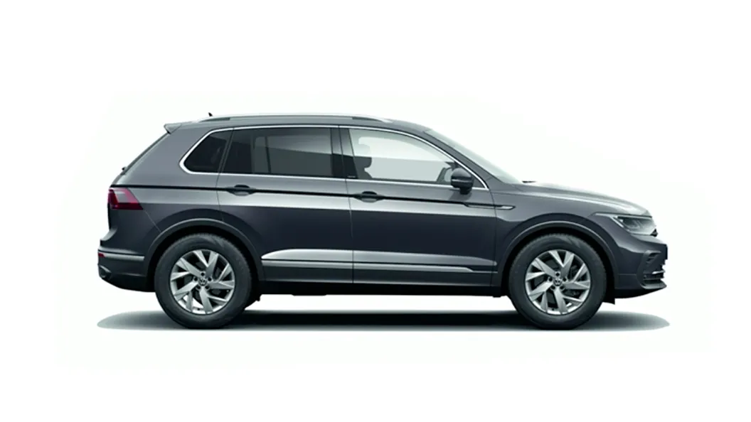 Volkswagen  Tiguan Dolphin Gray Colour