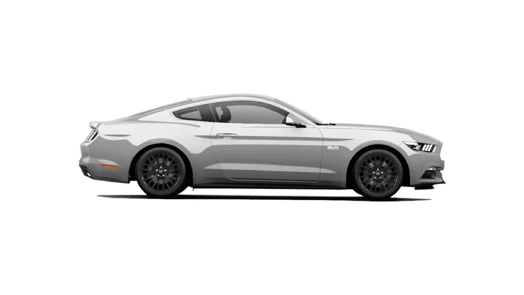 Ford  Mustang Ingot Silver Colour