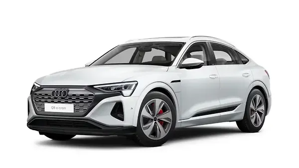 ऑडी  क्यू8 ई-ट्रॉन Glacier White Metallic Colour