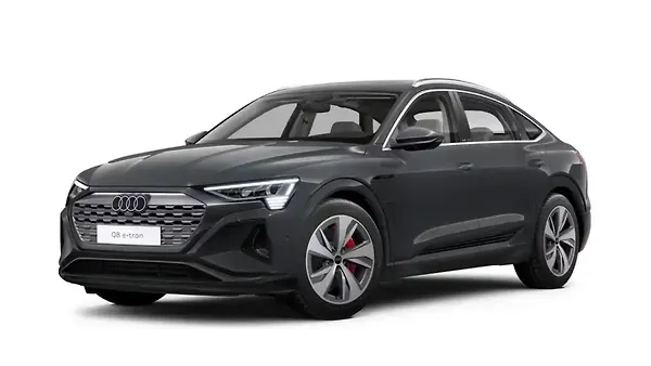 ऑडी  क्यू8 ई-ट्रॉन Magnet Gray Colour