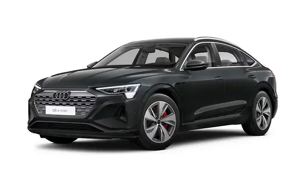 ऑडी  क्यू8 ई-ट्रॉन Manhattan Gray Metallic Colour