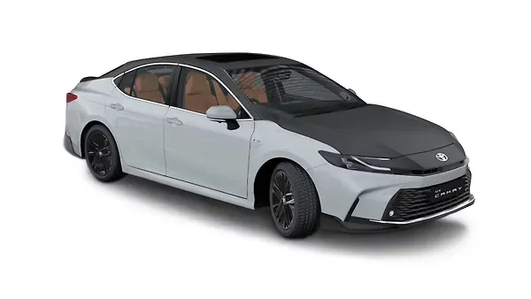 Toyota  Camry Cement Grey With Matte Black Colour