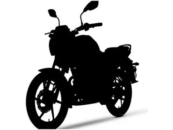 TVS Raider 125 Flex-Fuel