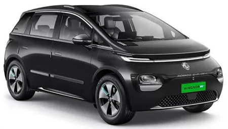 Windsor EV