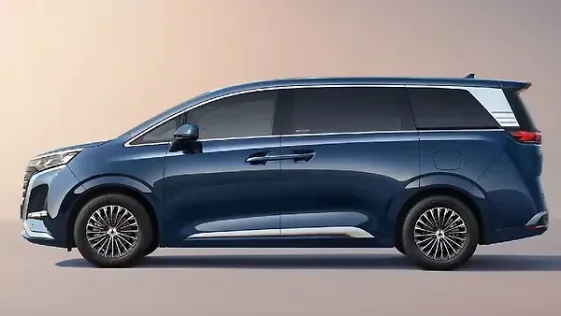 Denza&nbsp;D9