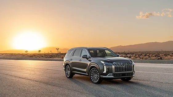 Hyundai&nbsp;Palisade
