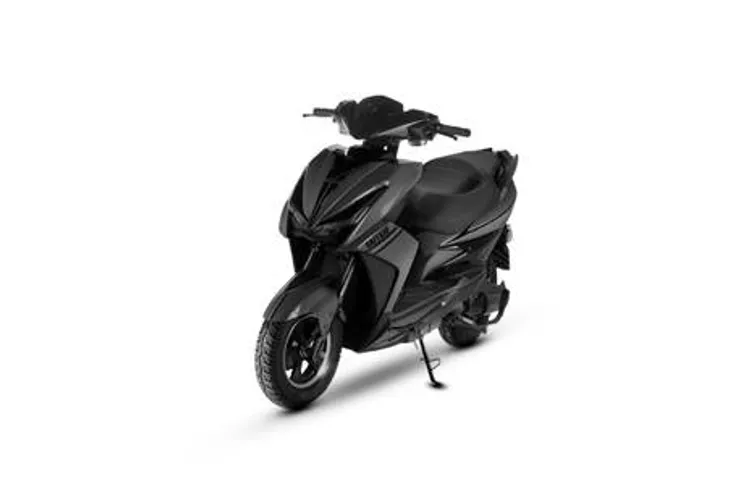 Raftaar Bumblebee Black Colour