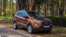 Ford E20 Petrol Warning Engine Damage Ecosport India